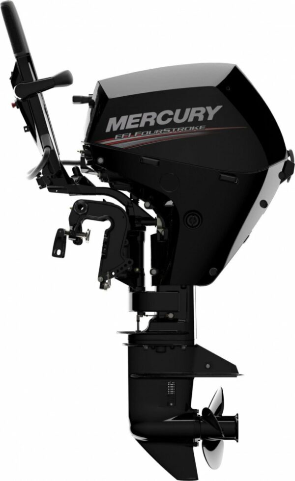 Mercury F15 15CV